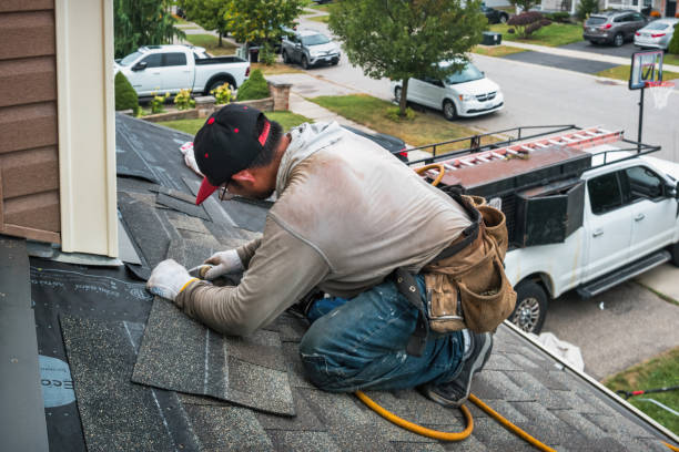 Professional Gutter Repair And Installation technician working in Lynn Haven, FL